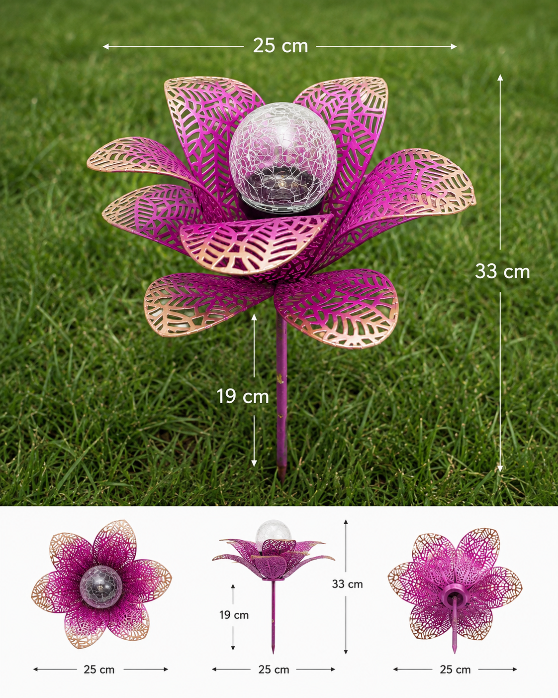 Purple Lotus — dimensions
