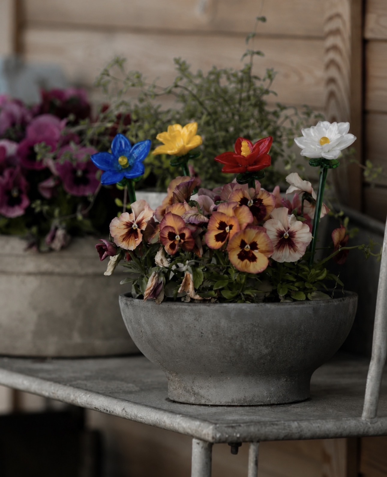 A concrete bowl of pansies with four glass flowers in blue, yellow, red and white.