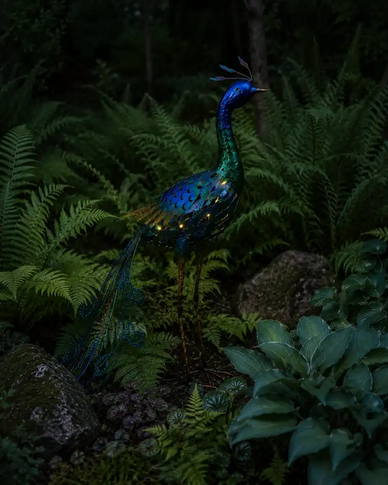 The same peacock after dusk, with its feathers lit up.